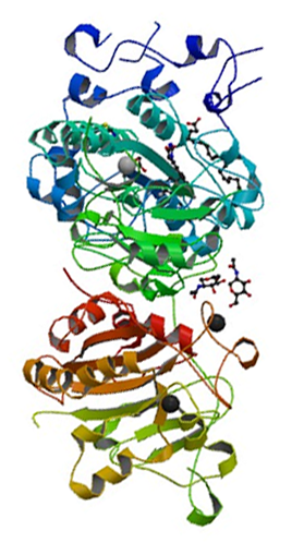 autotaxin