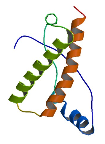 prion